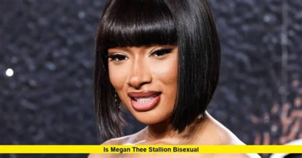 Megan Thee Stallion Ethnicity: a Closer Look at Her Background