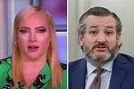 Meghan Mccain Calls Ted Cruz ‘Marie Antoinette’ as He Flies to Cancún While Texans Freeze