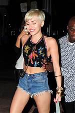 Miley Cyrus Rocks Denim Short, Shorts on Instagram — See Pic