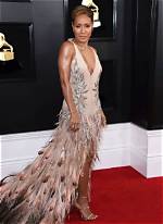 Most Revealing Dresses at 2019 Grammy Awards — Pics
