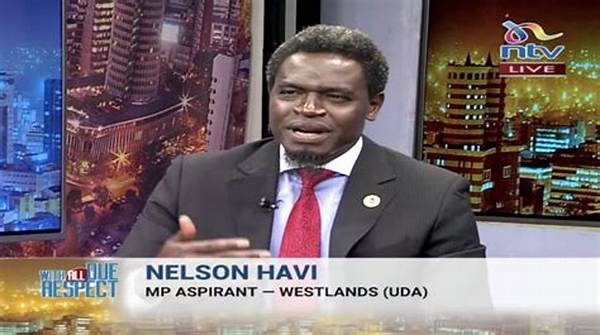 Nelson Havi's Twitter Influence: Updates and Analysis