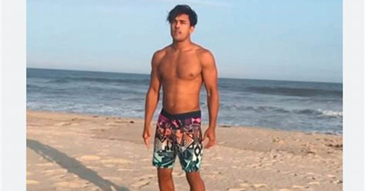Niko Terho Bio, Wiki, Age, Height, Parents, Girlfriend, Movies, and Net Worth