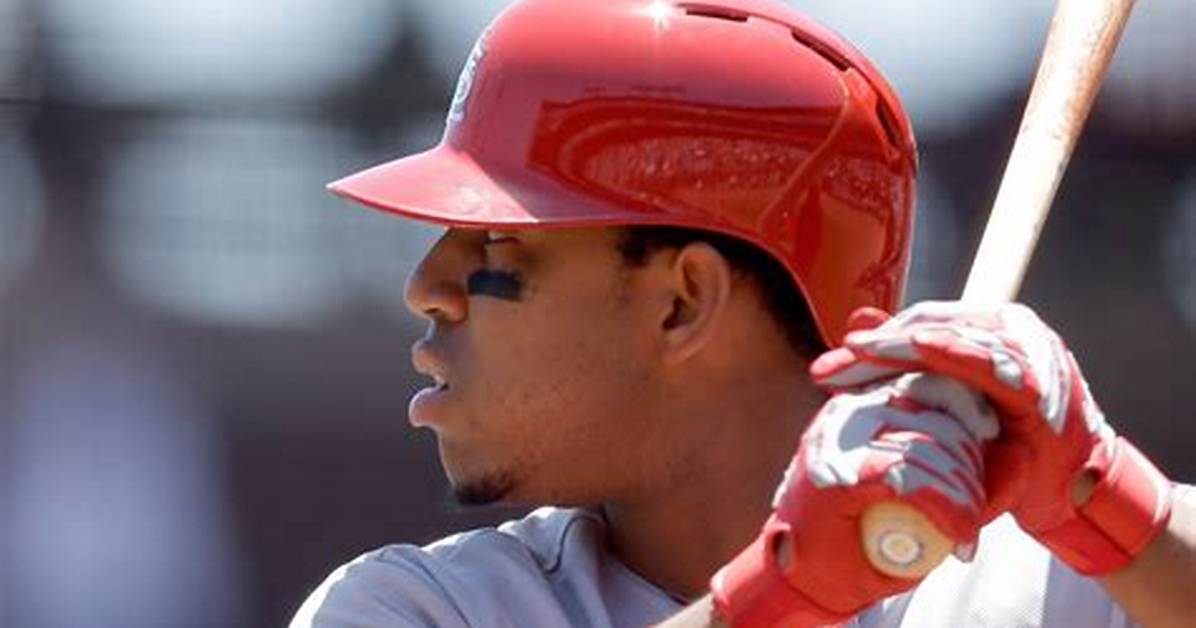 Oscar Taveras Celeb Profile – Hollywood Life