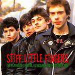 Photos of Stiff Little Fingers, the Pogues & More – Hollywood Life