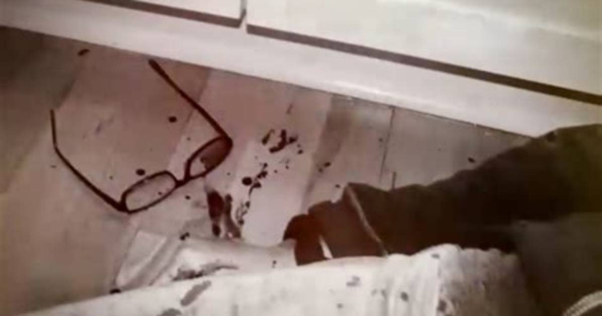 Rip: Ellen Greenberg Death Scene -Was It a Suicide or Homicide? Details to Know