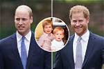 Royal Family Wants Prince William & Prince Harry to Have ‘Sit Down’ Before King Charles’ Coronation