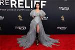 See Her on the Red Carpet & More – Hollywood Life
