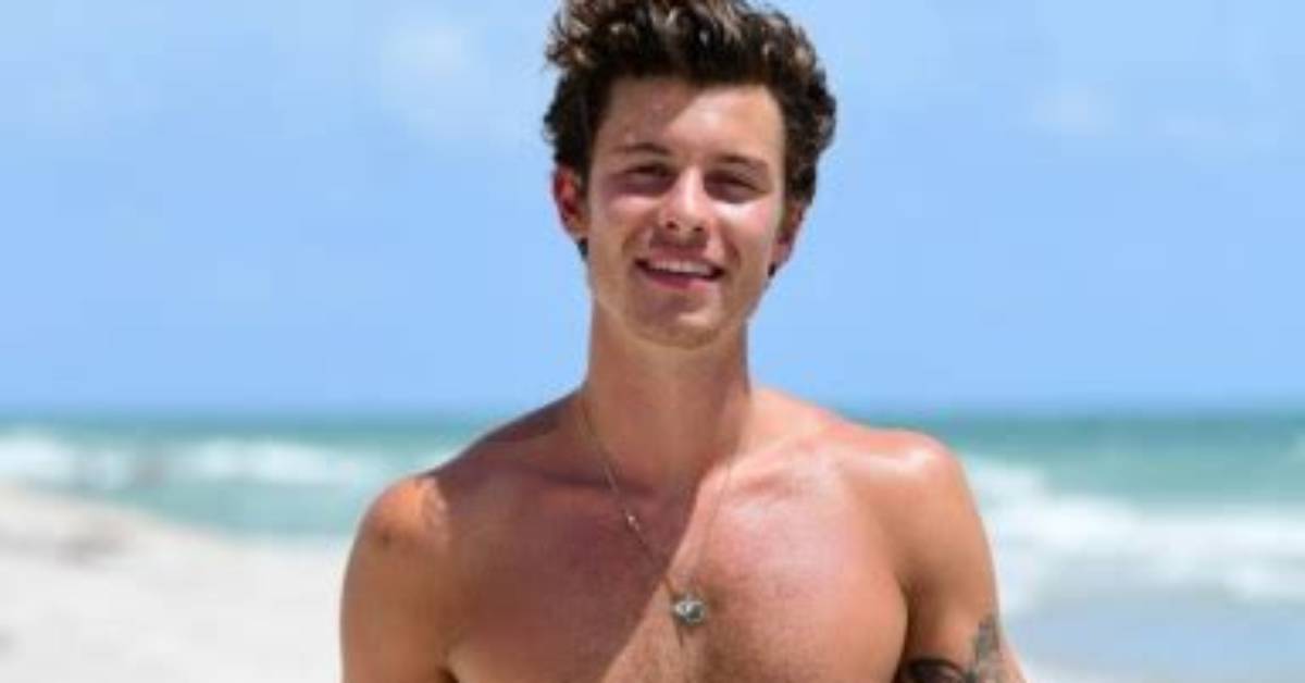Shawn Mendes Reveals His Brutal Sunburn in Shirtless Photos on Mexico City Trip