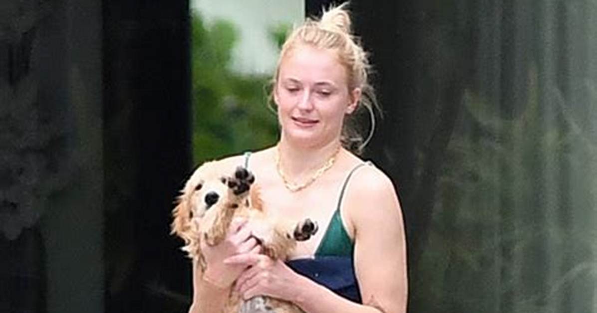 Sophie Turner Carries New Puppy & Rocks Green Bikini for Hangout with Priyanka Chopra After Her Dog Dies