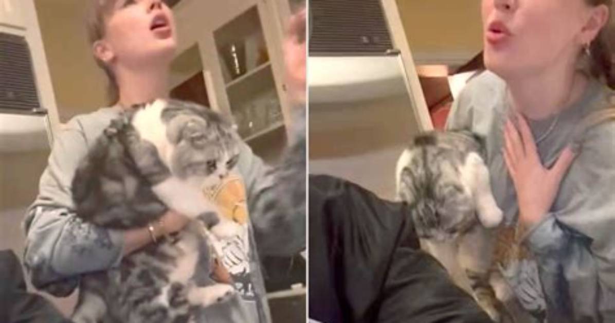 Taylor Swift’s Cat Meredith Returns in New Video – Hollywood Life