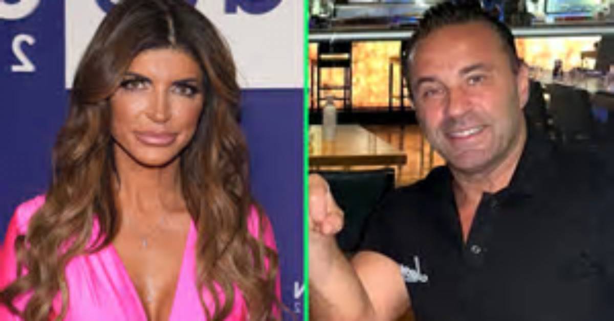 Teresa Giudice: How She Feels About Dating After Divorce from Joe Is Finalized