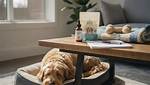 The Best Cbd Pet Products of 2023 So Far