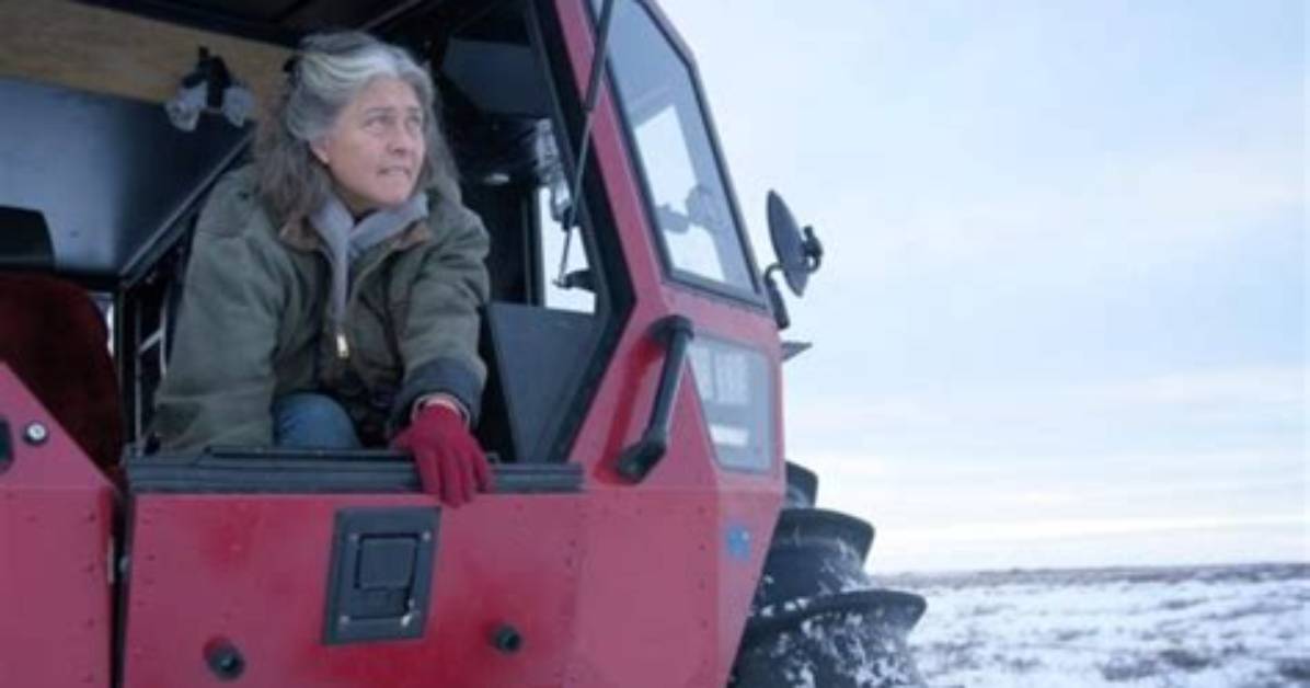 The Enigmatic Sue of "Life Below Zero": Unraveling the Secrets of the Alaskan Wilderness