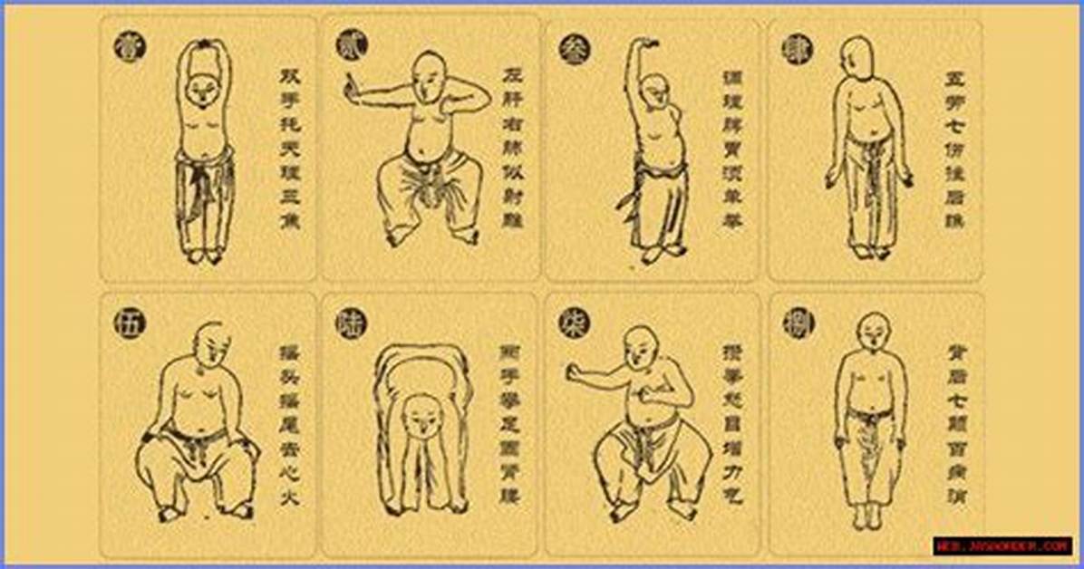 The Ultimate Guide to Adre Jin: Benefits, Uses, and Side Effects