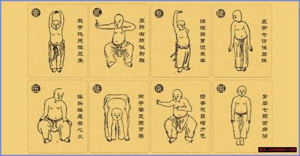 The Ultimate Guide to Adre Jin: Benefits, Uses, and Side Effects