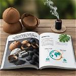 The Ultimate Guide to Chimoltrufia: History, Uses, and Fun Facts