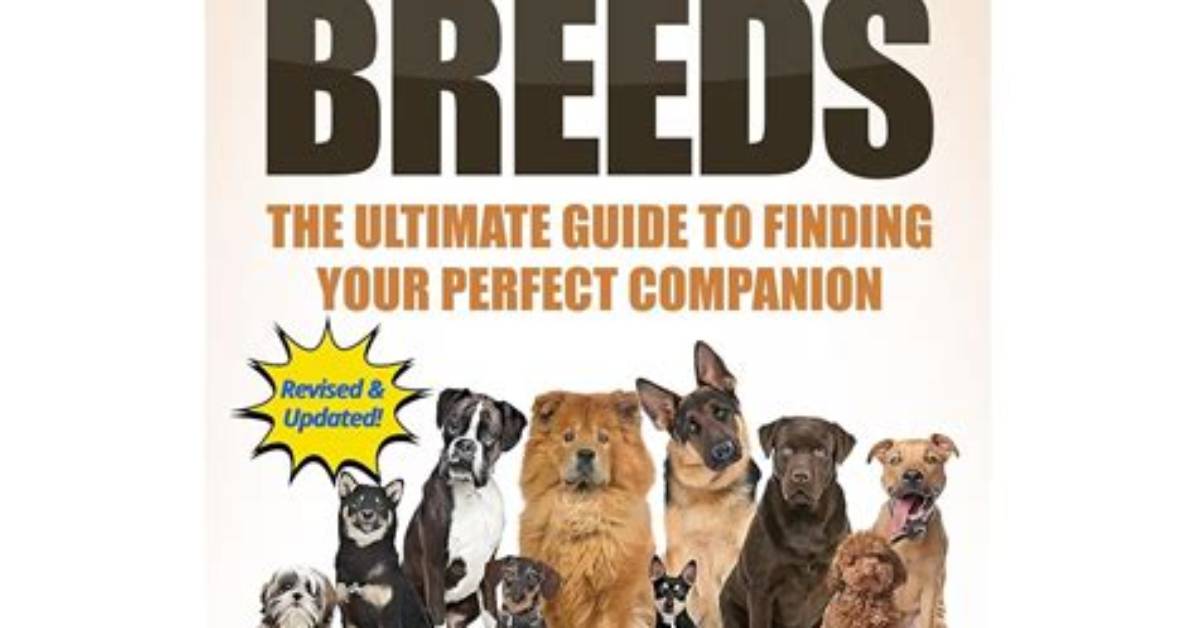 The Ultimate Guide to Finding Your Perfect Fluffy Wife