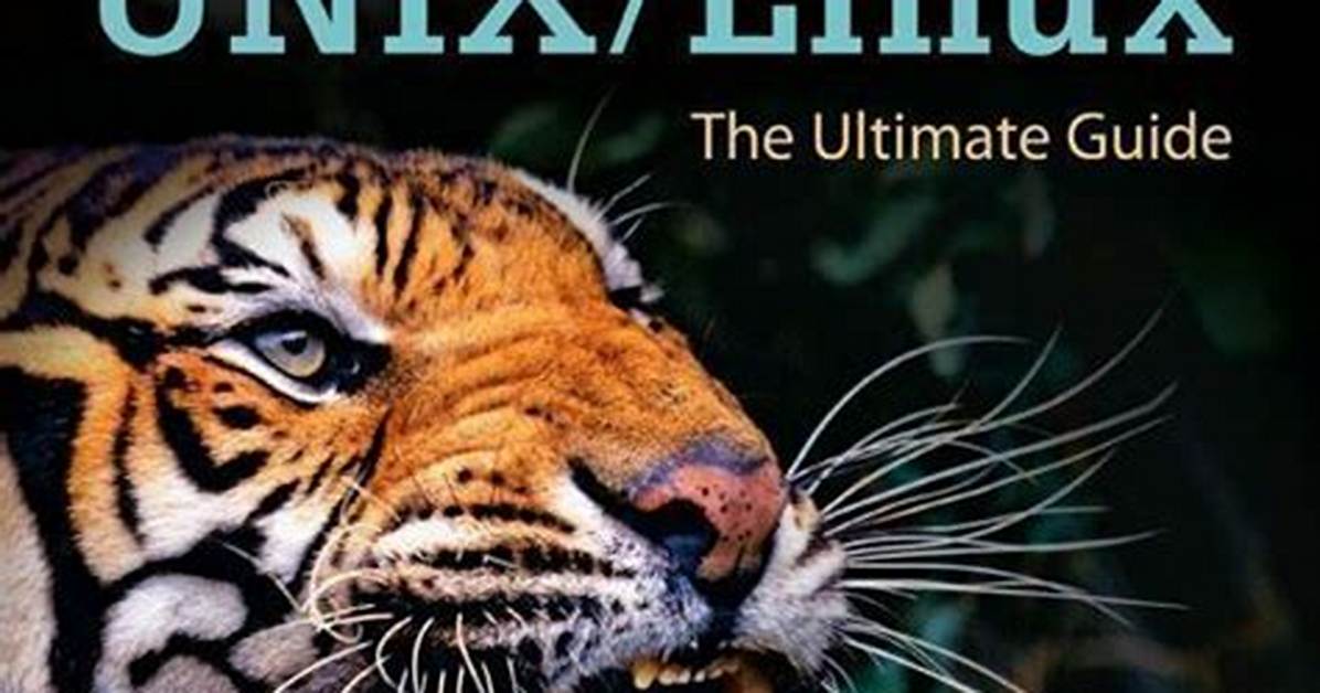 The Ultimate Guide to Nick Isenhart: Your Comprehensive Resource