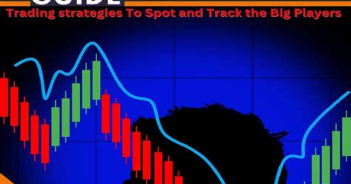 The Ultimate Wecricket Guide: Strategies, Tips, and Expert Insights