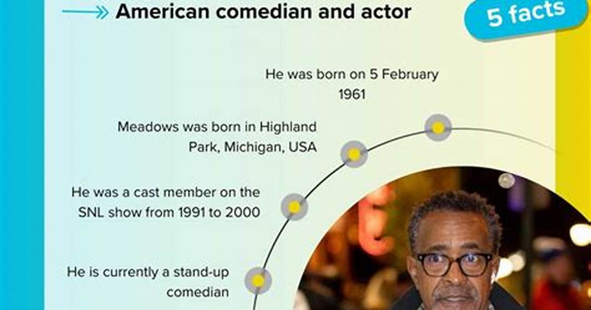 Tim Mcdonald Comedian Wikipedia: Facts to Know About Comedian