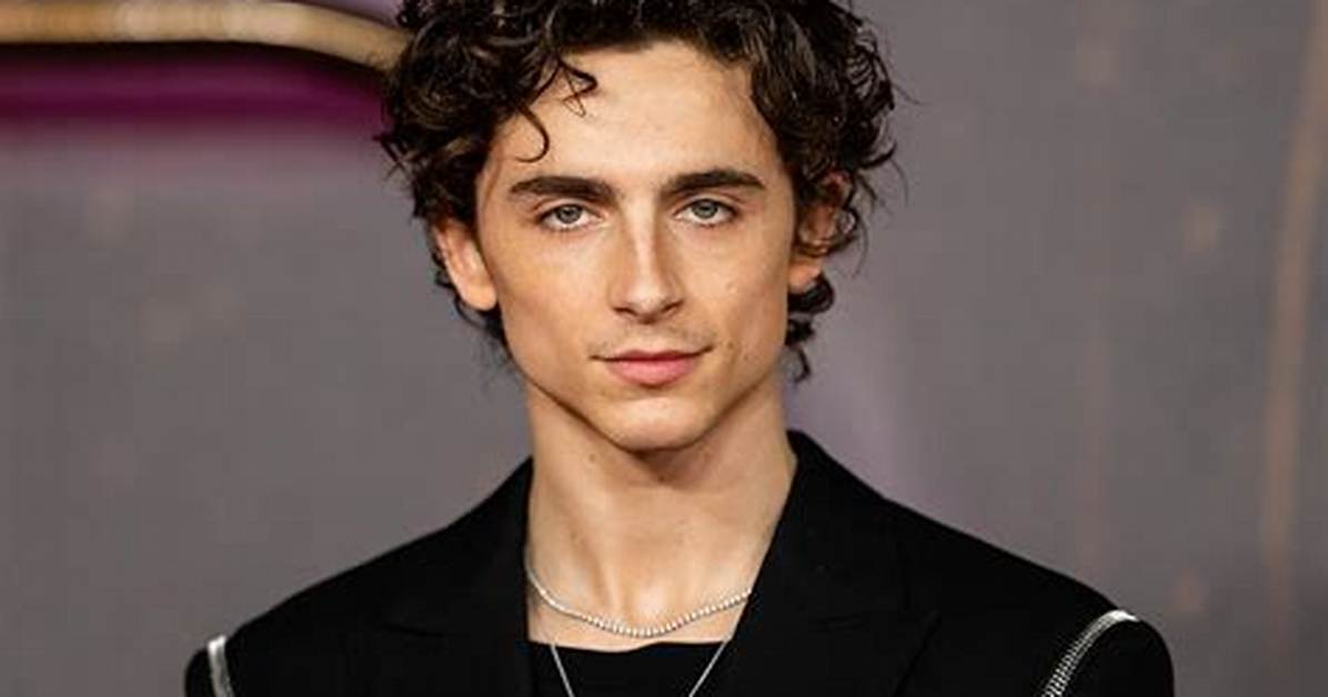 Timothee Chalamet Revealed Upcoming Birthday Plans in New Interview – Hollywood Life
