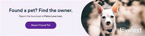 Toledo's Lifeline: Lost and Found Pets