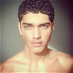 Torin Verdone