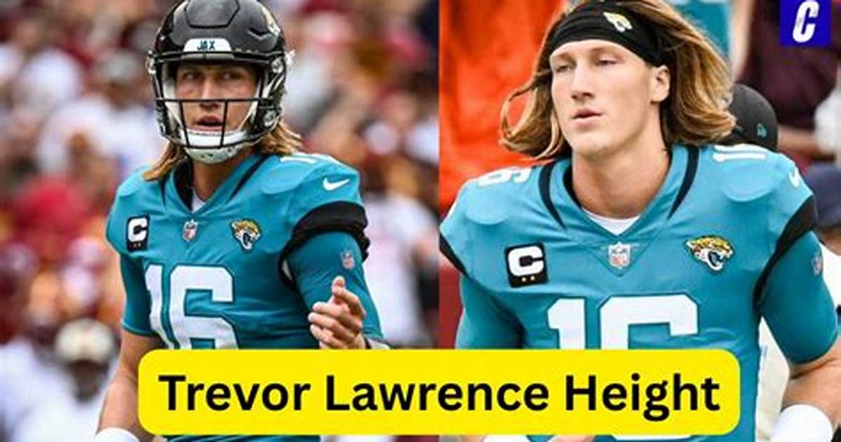 Trevor Bickford Height, Weight, Net Worth, Age, Birthday, Wikipedia, Who, Instagram, Biography
