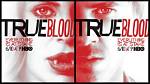 'True Blood' Season 5 Character Posters — Pics