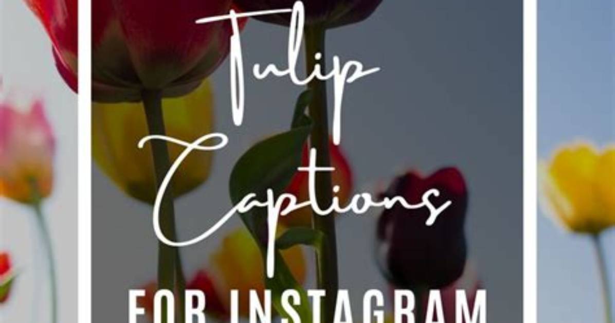 Tulip Captions for Instagram: Captivating Words to Bloom Your Posts