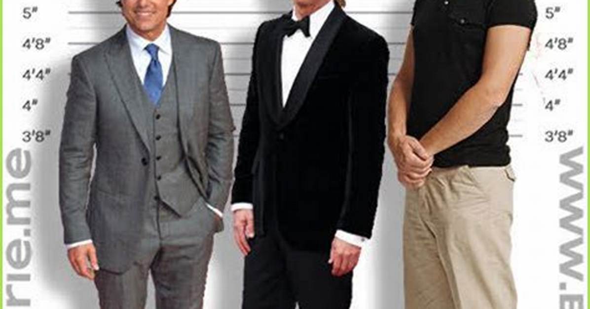 Ultimate Guide to Tim Robbins' Height: Measurements and Statistics