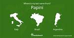 Uncover the Origins of the Papini Surname: a Journey Through History