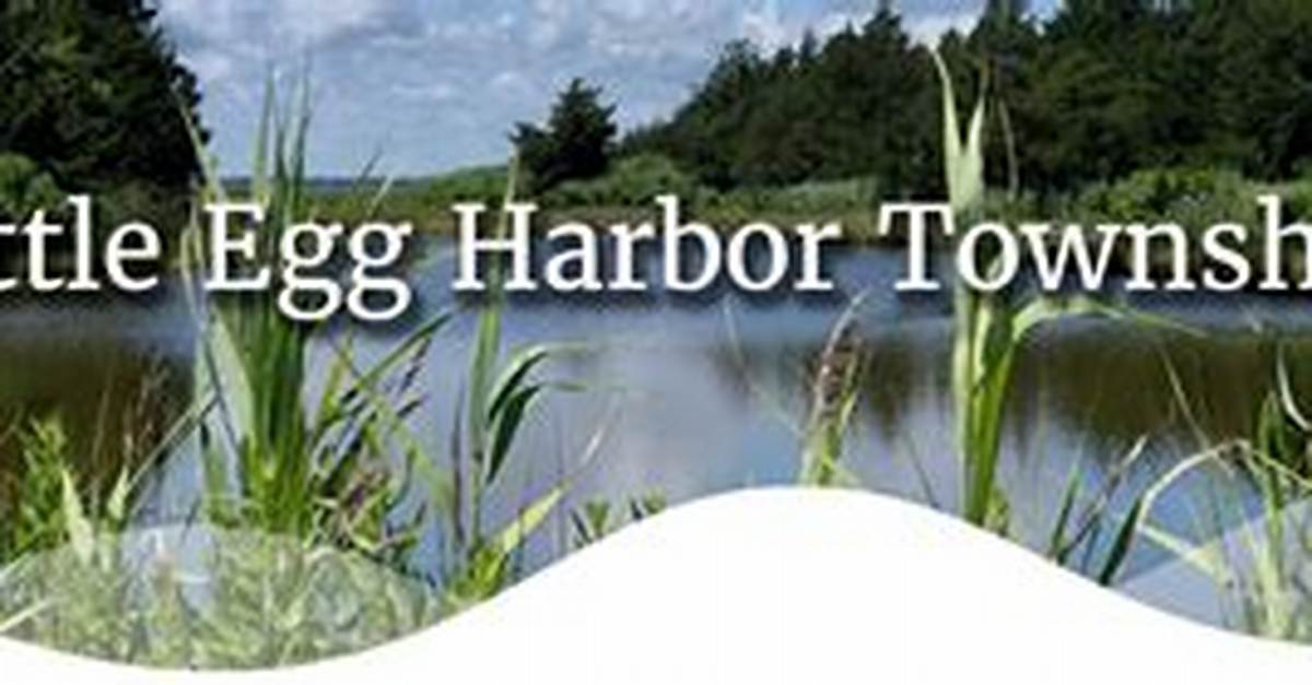 Unraveling the Mystery: the Little Egg Harbor Murder Case