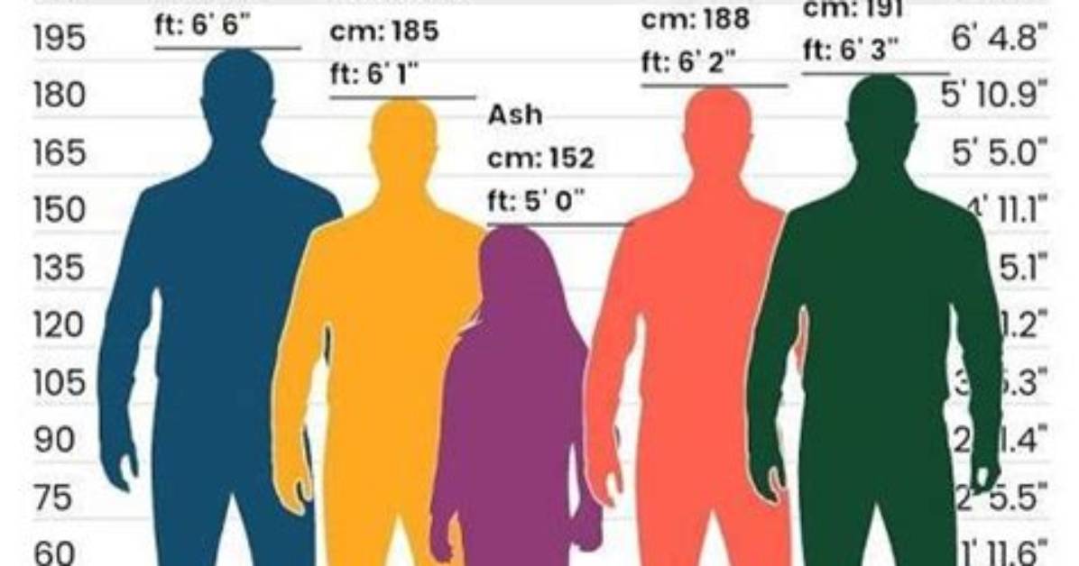 Unveiling the Height of Hollywood Icon: How Tall Is Robert Redford?