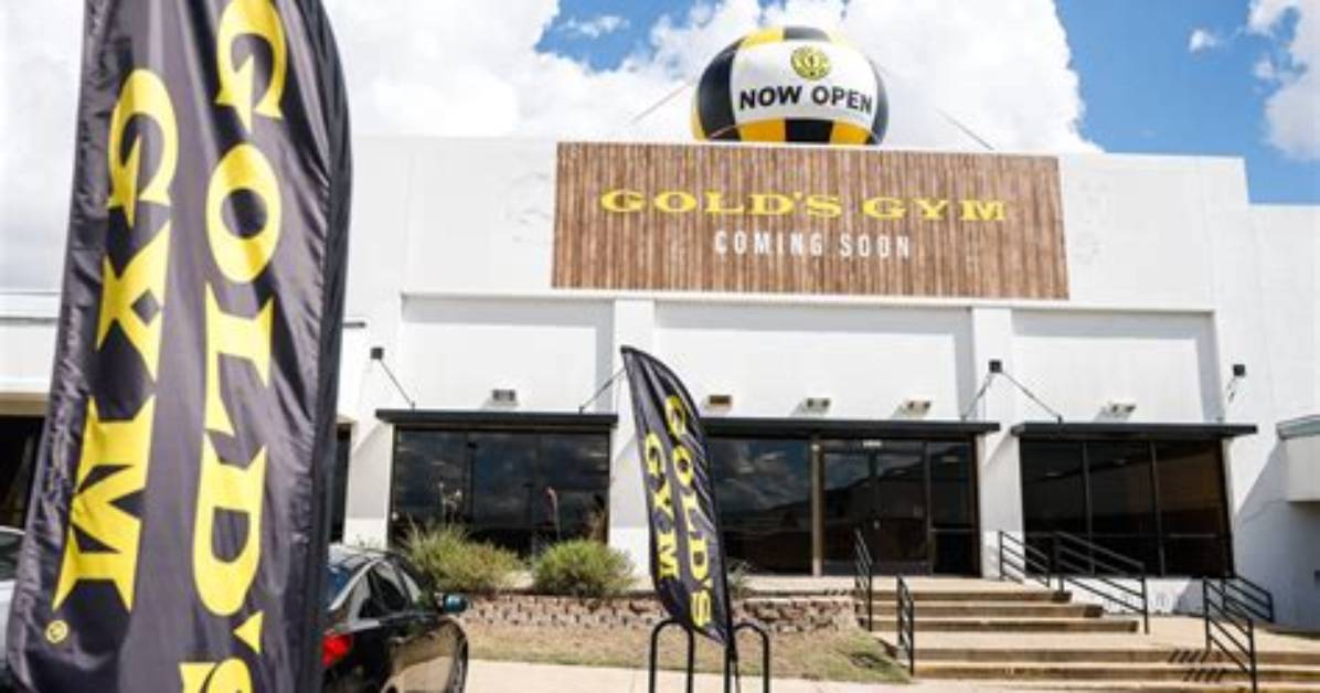 Unveiling the Visionary Behind Gold's Gym: Rainer Schaller Revealed