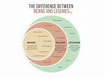 What Is the Difference Between Legumes and Lentils
