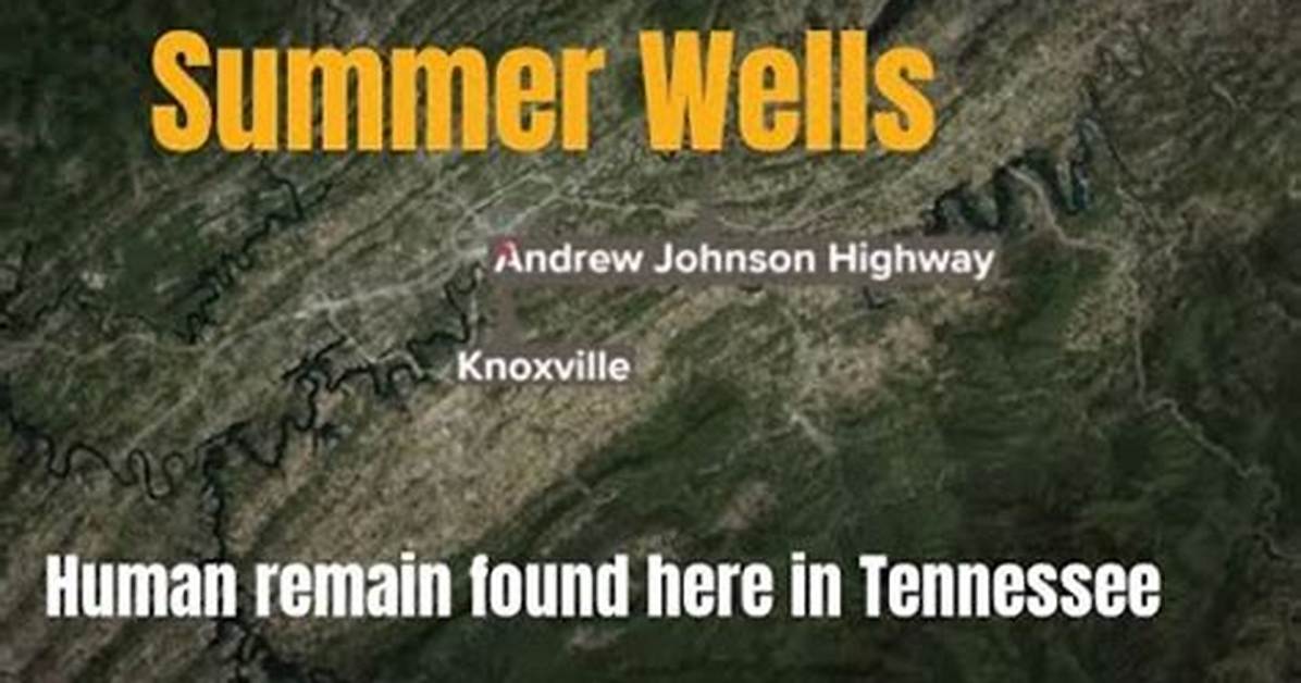 Where Was Summer Wells Human Remains Found? Father Don Wells & Family Reaction