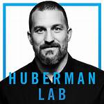 Who Is Dr Andy Galpin on Huberman