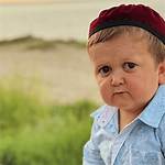 Who Is the Internet Sensation: Hasbulla Magomedov?