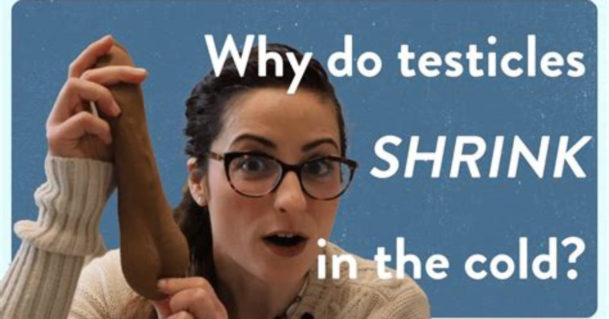 Why Do My Testicles Feel Cold to the Touch: Causes and Solutions