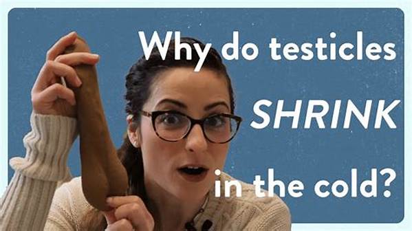 Why Do My Testicles Feel Cold to the Touch: Causes and Solutions