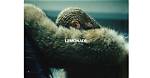 Why Is Beyonce’s Album Called Lemonade? the Reason Behind Cryptic Title – Hollywood Life